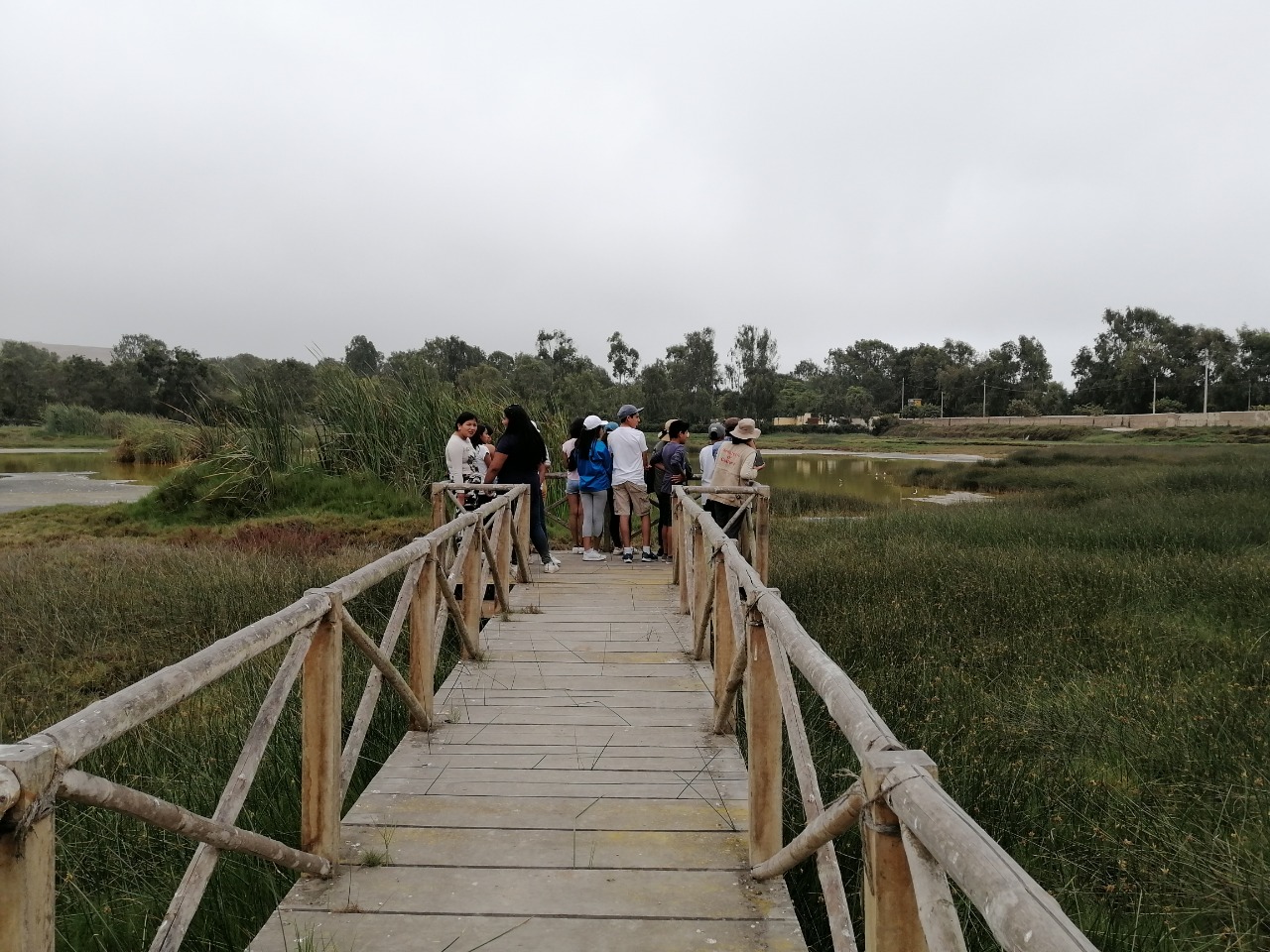Visitantes observando la laguna desde el corredor