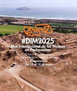 DIM 2025 portada