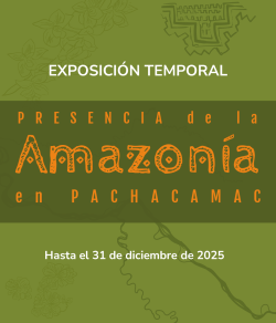 pieza gráfica de tonos verdes y amarillos - nombre de la exposición temporal "Presencia de la Amazonía en Pachacamac"
