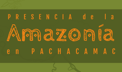 pieza gráfica de tonos verdes y amarillos - nombre de la exposición temporal "Presencia de la Amazonía en Pachacamac"