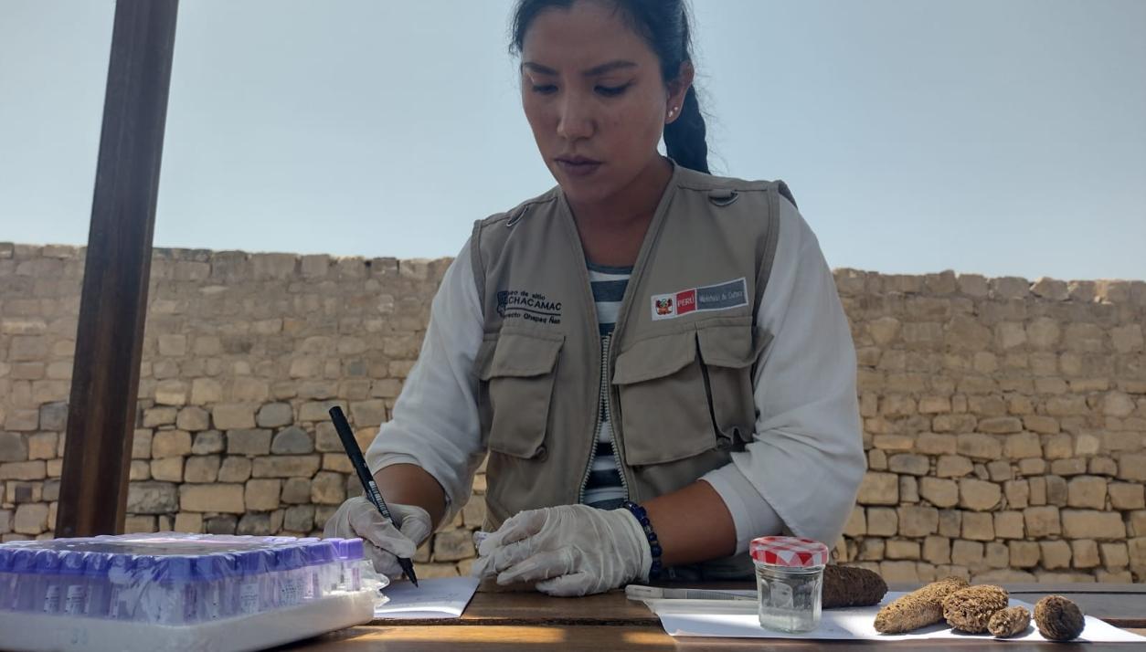 Análisis del material botánico recuperado de las excavaciones del santuario